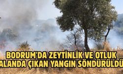 Bodrum'da zeytinlik ve otluk alanda çıkan yangın söndürüldü