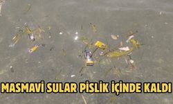 Masmavi Sular Pislik İçinde Kaldı