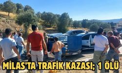 Milas’ta Trafik Kazası; 1 Ölü