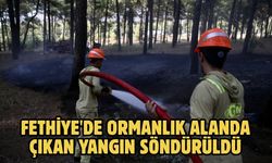 Fethiye'de ormanlık alanda çıkan yangın söndürüldü