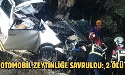 Otomobil zeytinliğe savruldu: 2 ölü