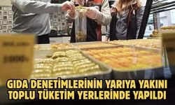 Gıda denetimlerinin yarıya yakını toplu tüketim yerlerinde yapıldı