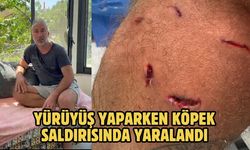 Yürüyüş yaparken köpek saldırısında yaralandı