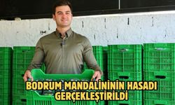 Bodrum mandalininin hasadı gerçekleştirildi