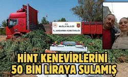Hint kenevirlerini 50 bin liraya sulamış