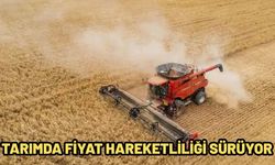 Tarımda fiyat hareketliliği sürüyor