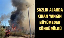 Sazlık alanda çıkan yangın büyümeden söndürüldü