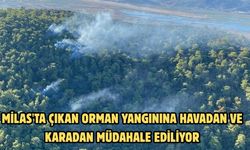 Milas'ta çıkan orman yangınına havadan ve karadan müdahale ediliyor