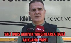 Vali İdris Akbıyık yangınlarla ilgili açıklama yaptı