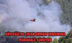 Köyceğiz'de çıkan orman yangınına müdahale sürüyor