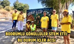 Bodrumlu Gönüllüler Sitem Etti: Bu Durum İçler Acısı