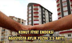 Konut Fiyat Endeksi ağustosta aylık yüzde 2,5 arttı