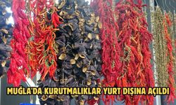 Muğla'da kurutmalıklar yurt dışına açıldı