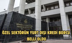 Özel sektörün yurt dışı kredi borcu belli oldu