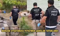 Bahçede uyuşturucu yetiştiren şahıslar tutuklandı