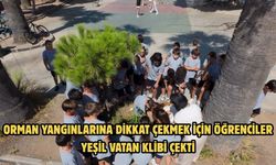 Orman Yangınlarına Dikkat Çekmek için Öğrenciler Yeşil Vatan Klibi Çekti