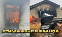 Köyceğiz yangınında alevler binalara sıçradı