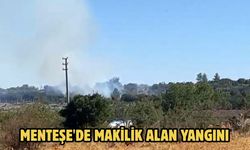 Menteşe'de makilik alan yangını