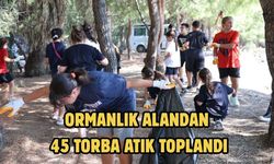 Ormanlık alandan 45 torba atık toplandı