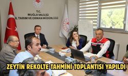 Zeytin rekolte tahmini toplantısı yapıldı