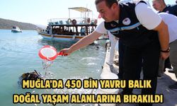 Muğla’da 450 bin yavru balık doğal yaşam alanlarına bırakıldı