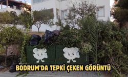 Bodrum’da Tepki Çeken Görüntü