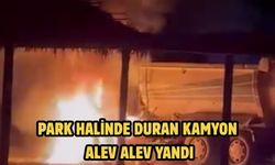 Park Halinde Duran Kamyon Alev Alev Yandı