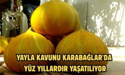 Yayla kavunu Karabağlar'da yüz yıllardır yaşatılıyor