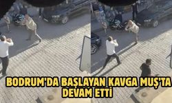 Bodrum’da Başlayan Kavga Muş’ta Devam Etti