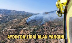 Aydın’da zirai alan yangını