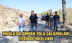 Muğla'da orman yolu çalışmaları yerinde incelendi