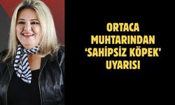 Ortaca muhtarından ‘Sahipsiz köpek’ uyarısı