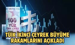 TÜİK ikinci çeyrek büyüme rakamlarını açıkladı