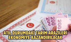 ATIL DURUMDAKİ TARIM ARAZİLERİ EKONOMİYE KAZANDIRILACAK