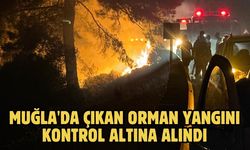 Muğla'da çıkan orman yangını kontrol altına alındı