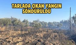 Tarlada çıkan yangın söndürüldü