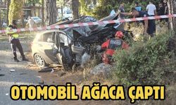 Otomobil ağaca çaptı