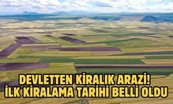 Devletten kiralık arazi! İlk kiralama tarihi belli oldu