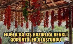 Muğla’da kış hazırlığı renkli görüntüler oluşturdu