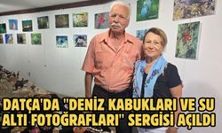 Datça'da "Deniz Kabukları ve Su Altı Fotoğrafları" sergisi açıldı
