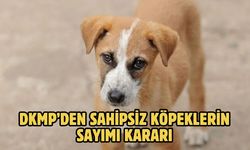 DKMP’den Sahipsiz Köpeklerin Sayımı Kararı