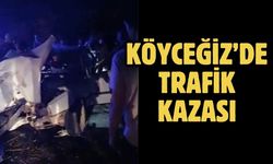 Köyceğiz’de trafik kazası