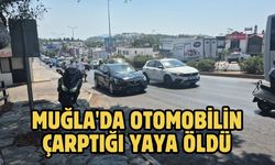Muğla'da otomobilin çarptığı yaya öldü
