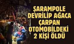 Şarampole devrilip ağaca çarpan otomobildeki 2 kişi öldü