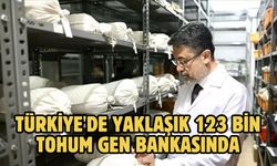 Türkiye'de yaklaşık 123 bin tohum gen bankasında