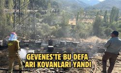 Gevenes’te bu defa arı kovanları yandı