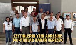 Zeytinlerin yeni adresine muhtarlar karar verecek