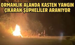 Ormanlık alanda kasten yangın çıkaran şüpheliler aranıyor