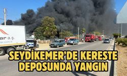 Seydikemer’de kereste deposunda yangın