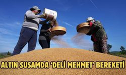 Altın susamda ‘Deli Mehmet' bereketi